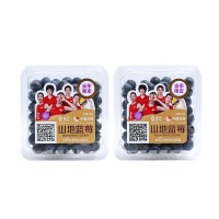 佳沃山东山地蓝莓3盒X125g(14mm＋)