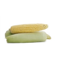 春播农庄甜玉米700-900g（3-4根）