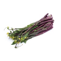 春播联盟农庄紫菜苔300g