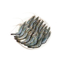 东山岛海捕活冻黑虎虾250g（11-15只）×2