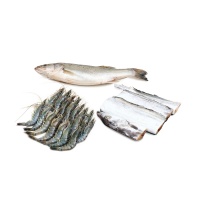 東山島活凍黑虎蝦、帶魚、鱸魚組合2000g