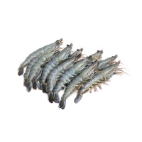 马来西亚液氮冷冻黑虎虾(20-21只)550g